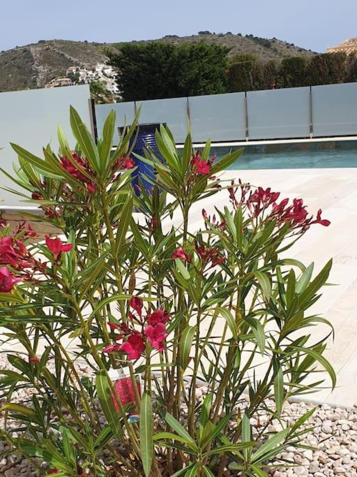 Casa Osimos Portet 450 M Moraira Buitenkant foto